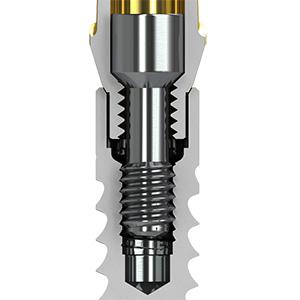 先を細くされた3.0横断面